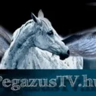 1 üzleti kép PEGAZUSTV MÉDIA ÉS OKTATÓ KFT. Üzleti szolgáltatások ban/ben Nyíregyháza SZ
