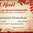 6 üzleti kép PEL-JOB BT Üzleti szolgáltatások ban/ben Miskolc BZ