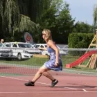 4 üzleti kép PIKNIK WELLNESS ÉS KONFERENCIA HOTEL*** Üzleti szolgáltatások ban/ben Siófok SO