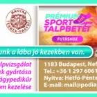 1 üzleti kép PODIART KFT. Gyógyászati eszközök, segédeszközök és rehabilitációs termékek ban/ben Budapest PE