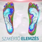 2 üzleti kép PODIART KFT. Gyógyászati eszközök, segédeszközök és rehabilitációs termékek ban/ben Budapest PE
