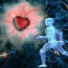 2 üzleti kép PREVENCIÓVAL SEGÍTŐ CSILLAGFÉNY EGYESÜLET Kultúra & Művészet ban/ben Kiskunhalas BK