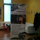2 üzleti kép REKLÁMTERVEZÉS, CÉGTÁBLA, GRAFIKA, FELIRATOK Üzleti szolgáltatások ban/ben Érd PE