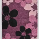 1 üzleti kép REPULOSZONYEG.HU Üzletek ban/ben Nyíregyháza SZ