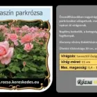 2 üzleti kép RÓZSA KERESKEDÉS ÉS WEB-ÁRUHÁZ Üzletek ban/ben Madocsa TO