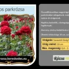 3 üzleti kép RÓZSA KERESKEDÉS ÉS WEB-ÁRUHÁZ Üzletek ban/ben Madocsa TO