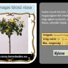 5 üzleti kép RÓZSA KERESKEDÉS ÉS WEB-ÁRUHÁZ Üzletek ban/ben Madocsa TO