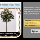 6 üzleti kép RÓZSA KERESKEDÉS ÉS WEB-ÁRUHÁZ Üzletek ban/ben Madocsa TO