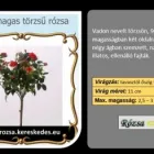 7 üzleti kép RÓZSA KERESKEDÉS ÉS WEB-ÁRUHÁZ Üzletek ban/ben Madocsa TO