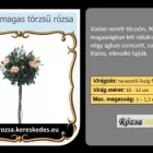 8 üzleti kép RÓZSA KERESKEDÉS ÉS WEB-ÁRUHÁZ Üzletek ban/ben Madocsa TO