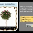 9 üzleti kép RÓZSA KERESKEDÉS ÉS WEB-ÁRUHÁZ Üzletek ban/ben Madocsa TO