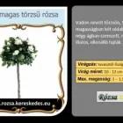 10 üzleti kép RÓZSA KERESKEDÉS ÉS WEB-ÁRUHÁZ Üzletek ban/ben Madocsa TO