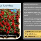 14 üzleti kép RÓZSA KERESKEDÉS ÉS WEB-ÁRUHÁZ Üzletek ban/ben Madocsa TO