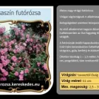 15 üzleti kép RÓZSA KERESKEDÉS ÉS WEB-ÁRUHÁZ Üzletek ban/ben Madocsa TO