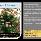 16 üzleti kép RÓZSA KERESKEDÉS ÉS WEB-ÁRUHÁZ Üzletek ban/ben Madocsa TO