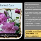 17 üzleti kép RÓZSA KERESKEDÉS ÉS WEB-ÁRUHÁZ Üzletek ban/ben Madocsa TO