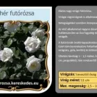 18 üzleti kép RÓZSA KERESKEDÉS ÉS WEB-ÁRUHÁZ Üzletek ban/ben Madocsa TO
