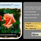 20 üzleti kép RÓZSA KERESKEDÉS ÉS WEB-ÁRUHÁZ Üzletek ban/ben Madocsa TO