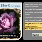 21 üzleti kép RÓZSA KERESKEDÉS ÉS WEB-ÁRUHÁZ Üzletek ban/ben Madocsa TO