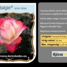 24 üzleti kép RÓZSA KERESKEDÉS ÉS WEB-ÁRUHÁZ Üzletek ban/ben Madocsa TO