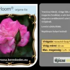 29 üzleti kép RÓZSA KERESKEDÉS ÉS WEB-ÁRUHÁZ Üzletek ban/ben Madocsa TO