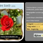 30 üzleti kép RÓZSA KERESKEDÉS ÉS WEB-ÁRUHÁZ Üzletek ban/ben Madocsa TO
