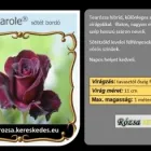 35 üzleti kép RÓZSA KERESKEDÉS ÉS WEB-ÁRUHÁZ Üzletek ban/ben Madocsa TO