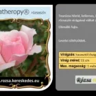 36 üzleti kép RÓZSA KERESKEDÉS ÉS WEB-ÁRUHÁZ Üzletek ban/ben Madocsa TO