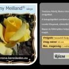 37 üzleti kép RÓZSA KERESKEDÉS ÉS WEB-ÁRUHÁZ Üzletek ban/ben Madocsa TO
