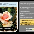 38 üzleti kép RÓZSA KERESKEDÉS ÉS WEB-ÁRUHÁZ Üzletek ban/ben Madocsa TO