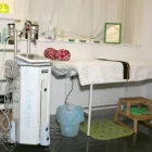 4 üzleti kép SERENA SZÉPSÉGSZALON Szépségszalon, kozmetika ban/ben Budapest