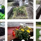 2 üzleti kép SÍRGONDNOK SÁGI & SÁGI ESETI VAGY FOLYAMATOS SÍRGONDOZÁS. Temetkezés ban/ben Sopron GS
