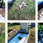 4 üzleti kép SÍRGONDNOK SÁGI & SÁGI ESETI VAGY FOLYAMATOS SÍRGONDOZÁS. Temetkezés ban/ben Sopron GS