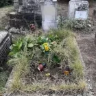 5 üzleti kép SÍRGONDNOK SÁGI & SÁGI ESETI VAGY FOLYAMATOS SÍRGONDOZÁS. Temetkezés ban/ben Sopron GS