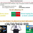 1 üzleti kép SOMOGY TEAM HUNGARY Üzleti szolgáltatások ban/ben Marcali SO
