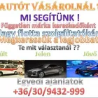 5 üzleti kép SOMOGY TEAM HUNGARY Üzleti szolgáltatások ban/ben Marcali SO