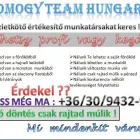 6 üzleti kép SOMOGY TEAM HUNGARY Üzleti szolgáltatások ban/ben Marcali SO