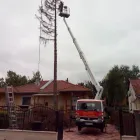 1 üzleti kép SPECIALPIN BT. Üzleti szolgáltatások ban/ben Siófok SO