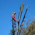 4 üzleti kép SPECIALPIN BT. Üzleti szolgáltatások ban/ben Siófok SO