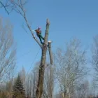 6 üzleti kép SPECIALPIN BT. Üzleti szolgáltatások ban/ben Siófok SO