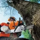 6 üzleti kép STIHL-VIKING SZAKKERESKEDÉS-SZAKSZERVIZ Üzleti szolgáltatások ban/ben Szentendre PE