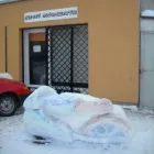 1 üzleti kép STREET MOTORSZERVÍZ Autó-, motorszerviz ban/ben Szeged CS