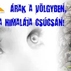 3 üzleti kép SZABÓ TAMÁS Szemészet, látszerész ban/ben Budapest