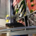 14 üzleti kép SZAMOS VENDÉGLŐ Vendéglátás ban/ben Békéscsaba BC