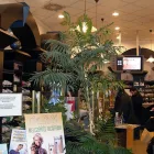 4 üzleti kép SZÉNA TÉR PATIKA FITOTÉKA Gyógyszertárak ban/ben Budapest PE