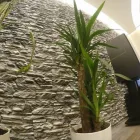 5 üzleti kép SZIKLAFORMA Otthon és Építőipar ban/ben Békéscsaba BC