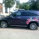 1 üzleti kép SZITAMAX KFT. Webdesign, grafika ban/ben Békéscsaba BC