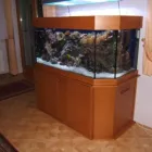 7 üzleti kép SZÜTS PÉTER BÚTORASZTALOS Otthon és Építőipar ban/ben Martonvásár FE