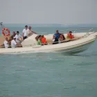 5 üzleti kép TALIZMÁN YACHT Vízi közlekedés, szállítás ban/ben Siófok SO