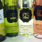 4 üzleti kép TCN KFT. Üzleti szolgáltatások ban/ben Budapest